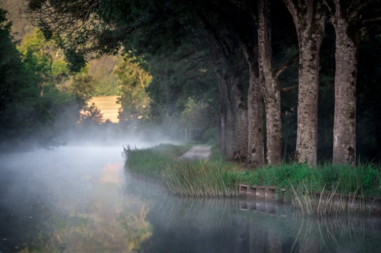 Southern-Burgundy-Canal-Morning-Mist